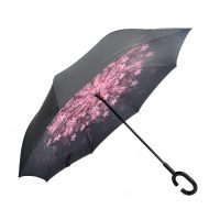 reverse umbrella (42)
