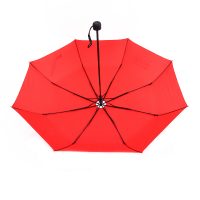 Folding umbrella (8)