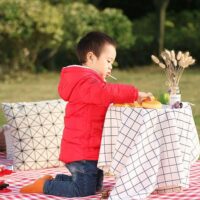 Large Extra Thick Picnic Mat 11
