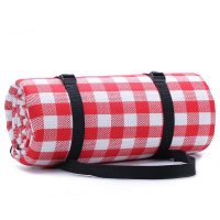 Large Extra Thick Picnic Mat 4
